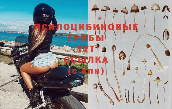 молекула духа Армянск