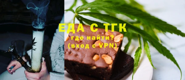 индика Арсеньев