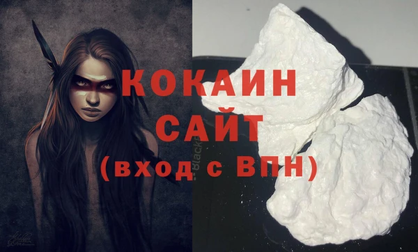 индика Арсеньев