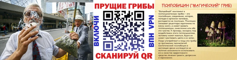 Галлюциногенные грибы ЛСД  наркошоп  Павловск 